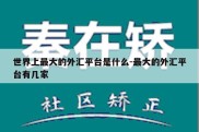 世界上最大的外汇平台是什么-最大的外汇平台有几家