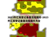 2023外汇局登记备案流程图片-2023外汇局登记备案流程图片大全