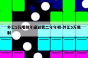 外汇5万限额年底到第二年年初-外汇5万限制