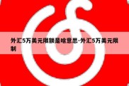 外汇5万美元限额是啥意思-外汇5万美元限制