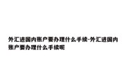 外汇进国内账户要办理什么手续-外汇进国内账户要办理什么手续呢