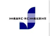 300美金外汇-外汇300美元到30万