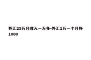 外汇25万月收入一万多-外汇1万一个月挣1000