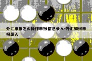 外汇申报怎么操作申报信息录入-外汇如何申报录入