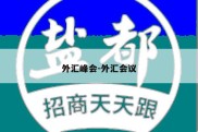 外汇峰会-外汇会议