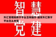 外汇管理局数字平台怎样操作-国家外汇数字平台怎么申报