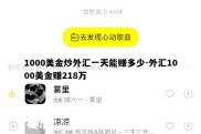 1000美金炒外汇一天能赚多少-外汇1000美金赚218万