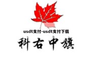 usdt支付-usdt支付下载