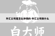 外汇公司是怎么挣钱的-外汇公司做什么