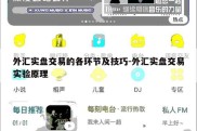 外汇实盘交易的各环节及技巧-外汇实盘交易实验原理