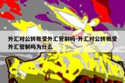 外汇对公转账受外汇管制吗-外汇对公转账受外汇管制吗为什么