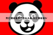 外汇保证金账户怎么入金-外汇保证金tr