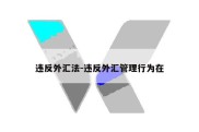 违反外汇法-违反外汇管理行为在