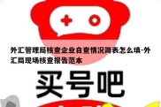 外汇管理局核查企业自查情况简表怎么填-外汇局现场核查报告范本