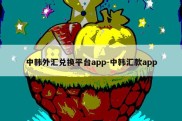 中韩外汇兑换平台app-中韩汇款app