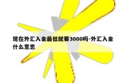 现在外汇入金最低就要3000吗-外汇入金什么意思