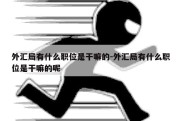 外汇局有什么职位是干嘛的-外汇局有什么职位是干嘛的呢