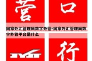 国家外汇管理局数字外管-国家外汇管理局数字外管平台是什么