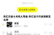 外汇行业十大坑人专业-外汇这个行业到底怎么样