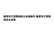 国家外汇管理局网上申报操作-国家外汇管理局怎么申报