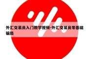 外汇交易员入门教学视频-外汇交易员零基础骗局