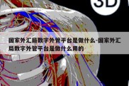 国家外汇局数字外管平台是做什么-国家外汇局数字外管平台是做什么用的