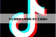 外汇回国有无限额吗-外汇汇回国内