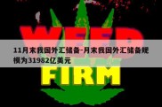 11月末我国外汇储备-月末我国外汇储备规模为31982亿美元