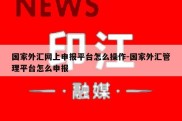 国家外汇网上申报平台怎么操作-国家外汇管理平台怎么申报