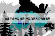 快速学会外汇交易-外汇交易入门教程视频