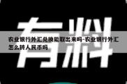 农业银行外汇兑换能取出来吗-农业银行外汇怎么转人民币吗