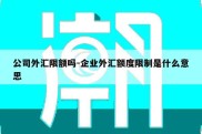 公司外汇限额吗-企业外汇额度限制是什么意思