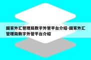 国家外汇管理局数字外管平台介绍-国家外汇管理局数字外管平台介绍