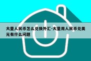 大量人民币怎么兑换外汇-大量用人民币兑美元有什么问题