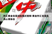 外汇黄金交易训练模式视频-黄金外汇交易实务心得体会