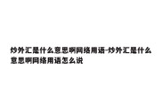 炒外汇是什么意思啊网络用语-炒外汇是什么意思啊网络用语怎么说