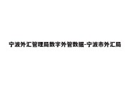 宁波外汇管理局数字外管数据-宁波市外汇局