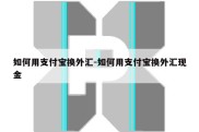 如何用支付宝换外汇-如何用支付宝换外汇现金