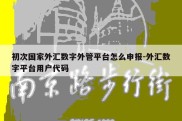 初次国家外汇数字外管平台怎么申报-外汇数字平台用户代码