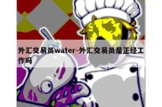 外汇交易员water-外汇交易员是正经工作吗