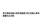 外汇现金兑换人民币流程表-外汇兑换人民币需要什么手续