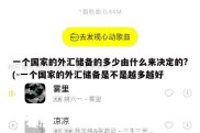 一个国家的外汇储备的多少由什么来决定的?(-一个国家的外汇储备是不是越多越好