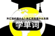 外汇指的是什么?-外汇究竟是什么东西