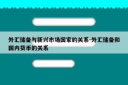 外汇储备与新兴市场国家的关系-外汇储备和国内货币的关系